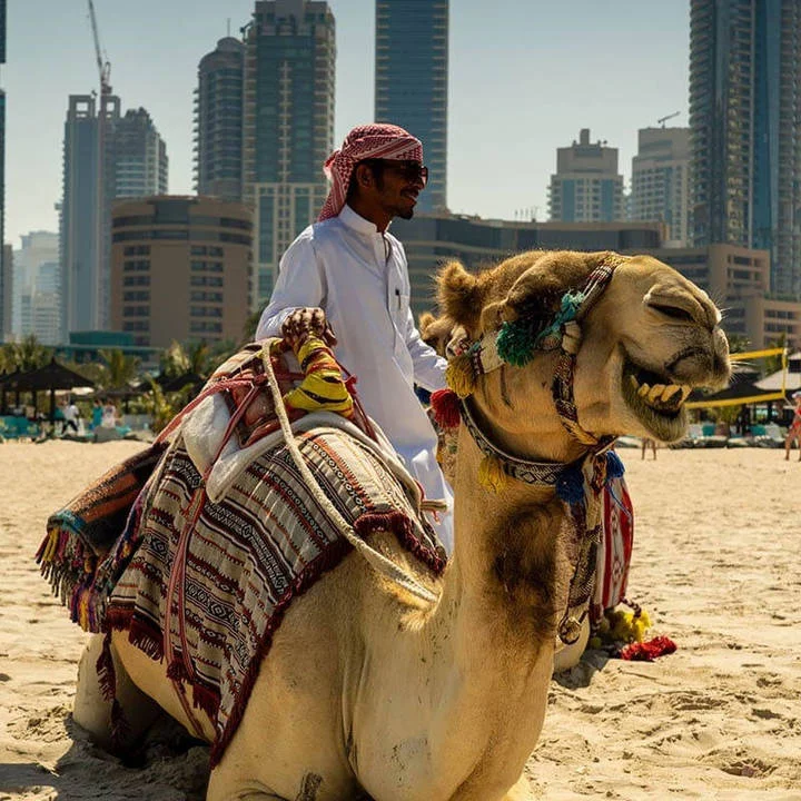 هاني المهيري